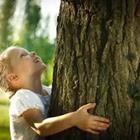 Child hugging tree trunk