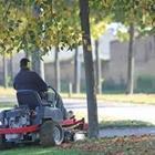 A person on a machine cutting grass by a tree
