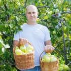 A man carrying two baskets of apples