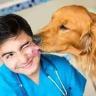 A dog licking a man in scrubs
