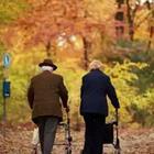 Old couple with walkers