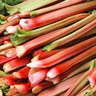 The 7 letters answer is RHUBARB
