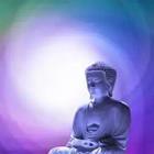 Purple Buddha