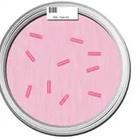 Pink petri science dish