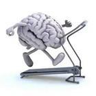 Brain on treadmill