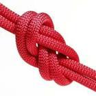 Knot tie, figure 8 knot