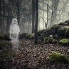Ghost in forest