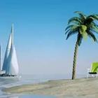 Beach with sailboat and palm tree