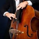 Bass player, cello