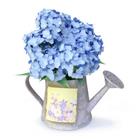 The 9 letters answer is HYDRANGEA