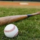 Baseball bat and ball