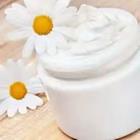 White Daisy Flowers with Cream
