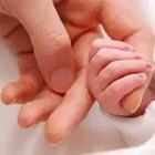 Baby hand and parent’s hand