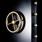 A black door with a gold steering wheel in it with gold bars on the side, safe