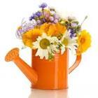 An orange watering pot with flowers in it