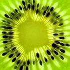 A green object with black spots around it, kiwi