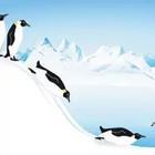 Penguins going down a hill