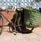 A bicycle with green bags on the side of it