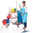House cleaner with a mop/Swiffer