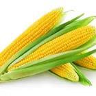 A pile of corn