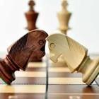 Two horse chess pieces with their head’s touching
