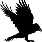 A cartoon picture of a black crow