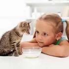 A girl playing with a cat with a bowl of milk