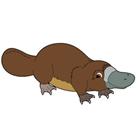 The 8 letters answer is PLATYPUS