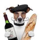Dog with wine and baguette bread