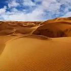 Sandy dune