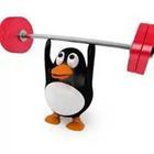 Penguin lifting weights