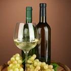 Two bottles of wine with grapes