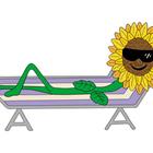 The 9 letters answer is SUNFLOWER