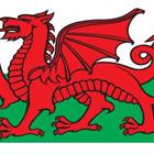 The 5 letters answer is WALES